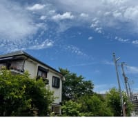今日いち-2025年6月6日