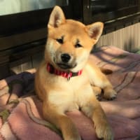 インスタ