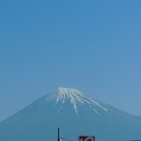 みどりの日・茶原と富士山