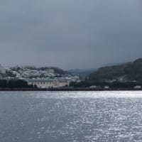 XF16-55 X-T2