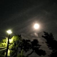 ホッと一息