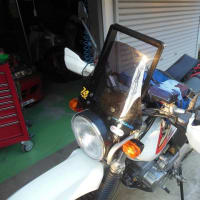 ラリー車っぽく