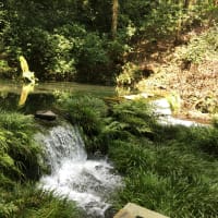 熊本の避暑地　小国、産山村（うぶやま村）熊本の北海道、私の勝手な思い、熊本市内では、３７℃の猛暑、行ってみた、