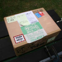 鉄工事業部の合い間に届いたレトロなカメラ