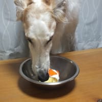 おたんじょうび