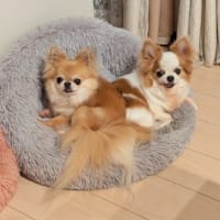 春恒例の病院day 2025