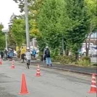 秋田内陸100キロマラソン
