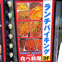 池袋のガチ中華ランチバイキングがすごすぎた（笑）