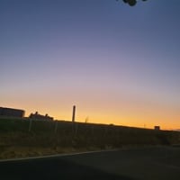 ブログの引っ越し