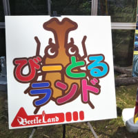 輪島功一の名言 雄一の独り言 輪島功一の名言 雄一の独り言