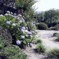 明王院