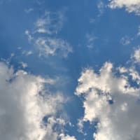 暑かった！