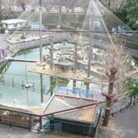 和歌山城内の動物園