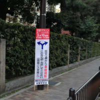 「明日３月１０日、『京都マラソン2013』が開催されます！！」