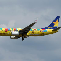 国内線　　福岡空港