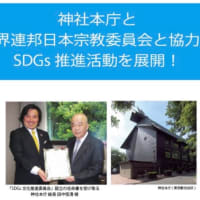 ーーー8時当確ーーーは不正選挙大成功‼️の仲間へのサインだよね😱【兵庫県知事選挙】　2024/11/18