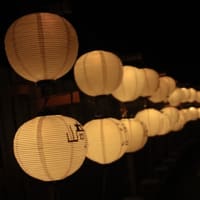 和傘　2/22