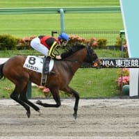 ６／１（日）の出走・結果　　＜ ノルドヴェスト　中央再転入後、初勝利！ ＞