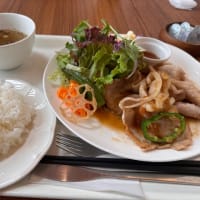 北欧旅行へ行って来ます