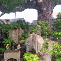 本日は法楽寺の春の大祭へ。大阪市内最大の柴燈護摩を。奉納居合術を見ました。大曼荼羅も見ました。北西結界の御幣をゲット。おみくじは１２番中吉。