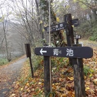 美しい十二湖　青池　(^0_0^)