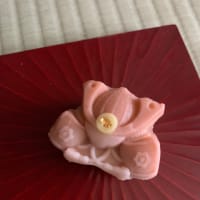 2025年　第二回『茶室でお茶を楽しむ会』開催
