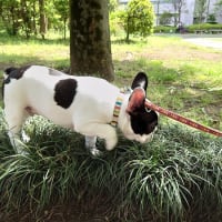 大好きだった公園