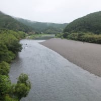 本日の海部川