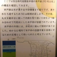 福島県白河市　福島県文化財センター白河館「まほろん」③弥生時代　天王山式土器　桜町遺跡　人面付土器　