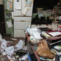 生存報告なのです