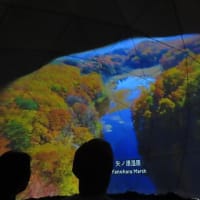 東北絆まつりその５