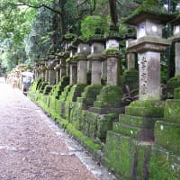 夏の奈良歩き　思い出辿り　③　若宮の大楠