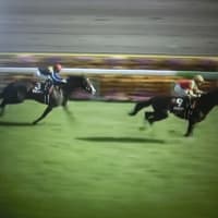 第70回 京王杯スプリングカップ（東京、GⅡ）　9・トウシンマカオ：第30回 ユニコーンステークス（京都、GⅢ）　4・カナルビーグル：2025年5月3日の東京・京都・新潟 特別レース