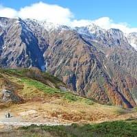 唐松岳（八方尾根）（９）　八方池への道