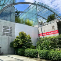 いわき小名浜＆相馬の旅・緊張しないリラックスできる土地が東北でした°˖✧