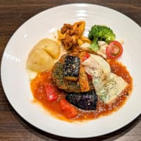 オリジナルハンバーグ３６５選　第461品目「彩り野菜がごろっと入ったトマトカレーチーズハンバーグ」