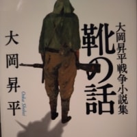 小林秀雄の「アシルは額に汗して、亀の子の位置に関して、その微分係数を知るだけである」ということばから－小林秀雄とベルクソン哲学③－