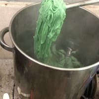 ワークショップ「初めての草木染め（１）ヨモギで染めよう」