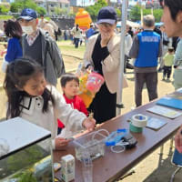 第33回こいのぼりフェスタ1000　参加
