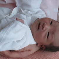 ふ～やっと終わった、大掃除。