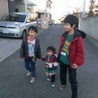 お散歩