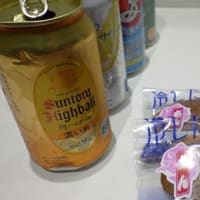 鉛飛散防止ネット