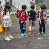 5月の稲子