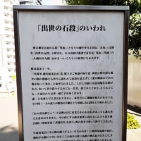 梅雨の晴れ間の愛宕神社