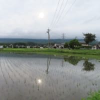 沖縄関連の慰霊の日は幾つもあるようです。