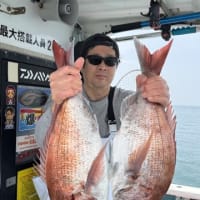 ノッコミ真鯛　今季2回目