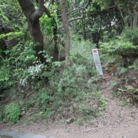 鎌倉山越え極楽寺コース 約5.1Km