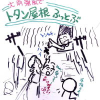  ~~数年ぶりの水かけ祭り行ってきます~~