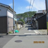 山下吹（28）　発祥の地　川西市山下町・下財町の山下吹