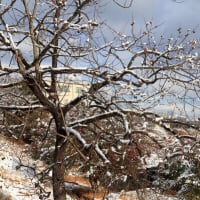 大雪警報～～